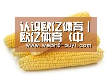 产品名称五