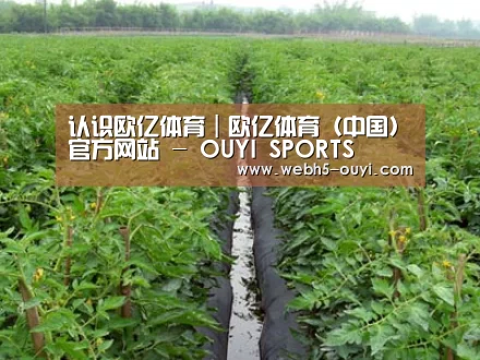 种植基地三