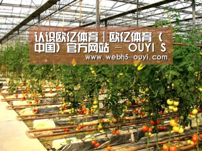 种植基地二