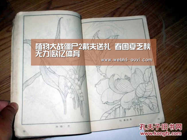 植物大战僵尸2戴夫送礼 春困夏乏秋无力|欧亿体育(图2) 欧亿体育部门
